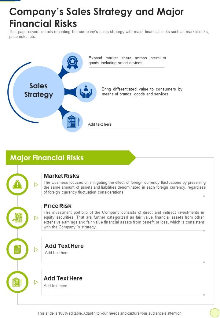 Companys_Sales_Strategy_And_Major_Financial_Risks_One_Pager_Documents_Slide_1.jpg