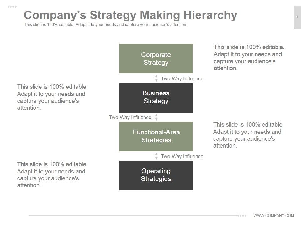 Companys_Strategy_Making_Hierarchy_Ppt_PowerPoint_Presentation_Examples_Slide_1.jpg