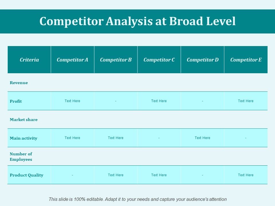 Competitor_Analysis_At_Broad_Level_Ppt_PowerPoint_Presentation_Infographic_Template_Example_Slide_1.jpg