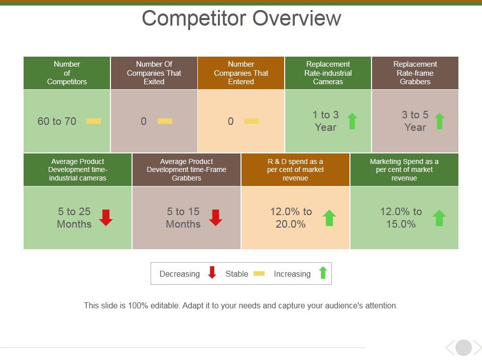 Competitor_Overview_Ppt_PowerPoint_Presentation_Gallery_Information_Slide_1.jpg
