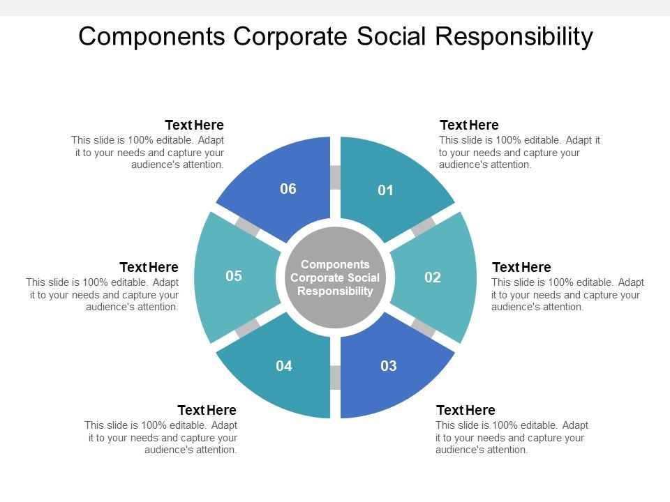Components_Corporate_Social_Responsibility_Ppt_PowerPoint_Presentation_Infographics_Background_Images_Slide_1.jpg