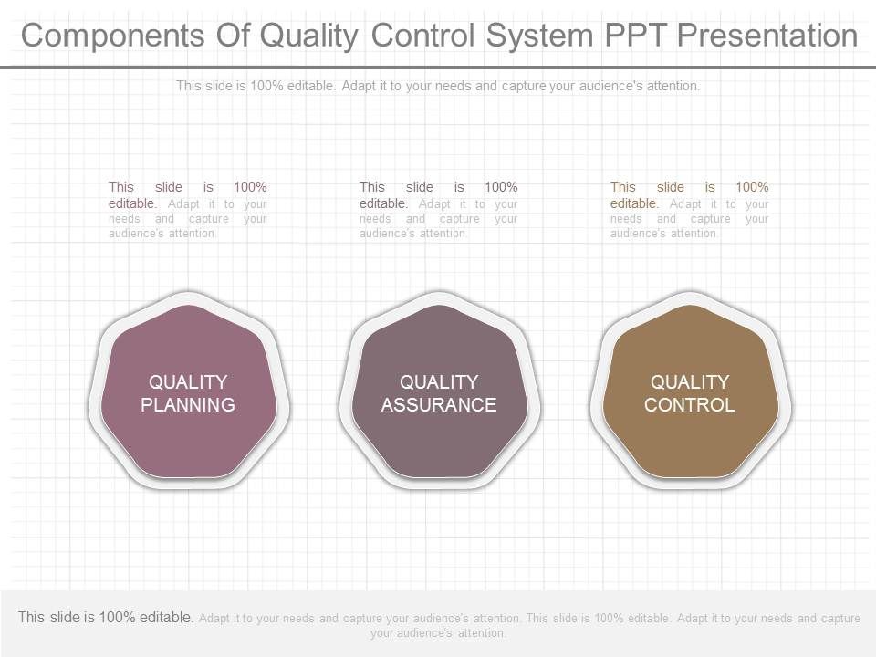 Components_Of_Quality_Control_System_Ppt_Presentation_1.jpg