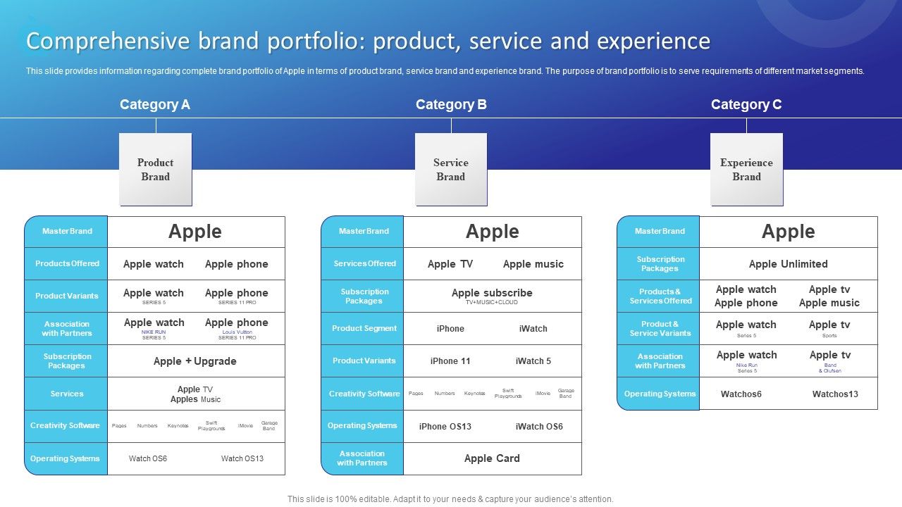 Comprehensive_Brand_Portfolio_Product_Service_And_Experience_Information_PDF_Slide_1.jpg