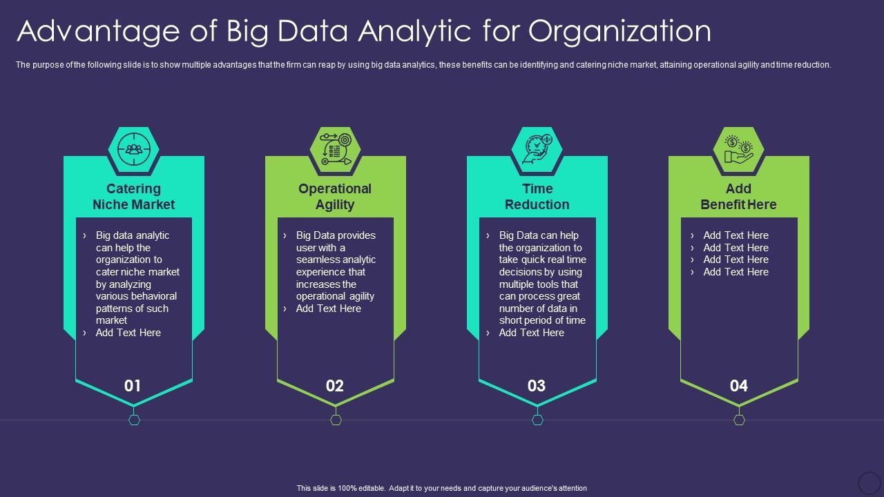Comprehensive_Business_Digitization_Deck_Advantage_Of_Big_Data_Analytic_For_Organization_Sample_PDF_Slide_1.jpg