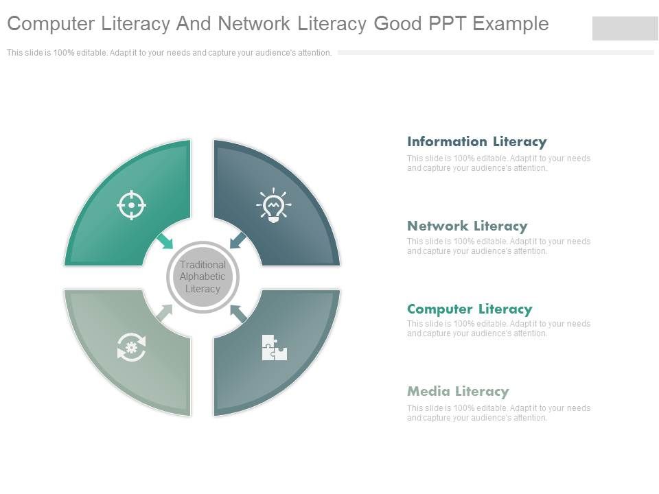 Computer_Literacy_And_Network_Literacy_Good_Ppt_Example_1.jpg