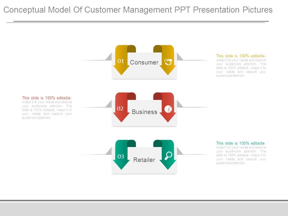 Conceptual_Model_Of_Customer_Management_Ppt_Presentation_Pictures_1.jpg