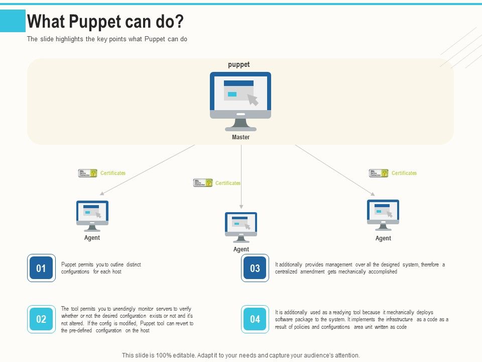 Configuration_Management_With_Puppet_What_Puppet_Can_Do_Ppt_Infographics_Graphics_Design_PDF_Slide_1.jpg