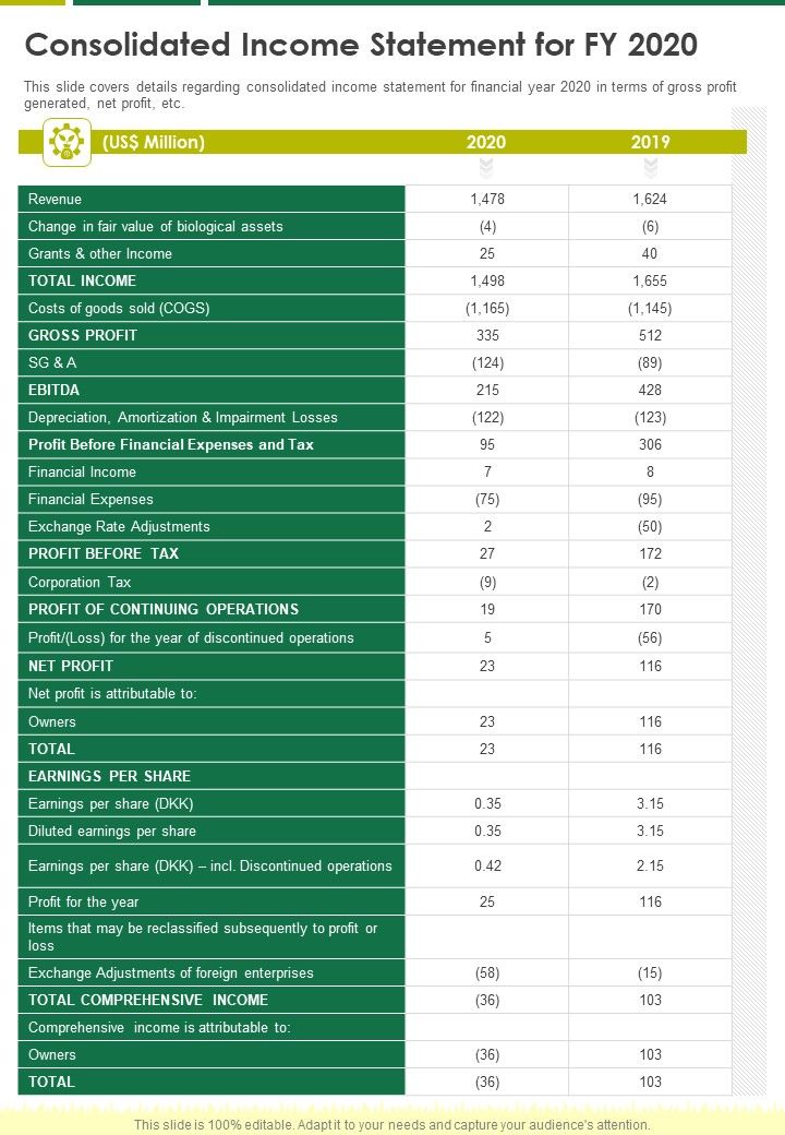 Consolidated Income Statement For FY 2020 One Pager Documents Slide01