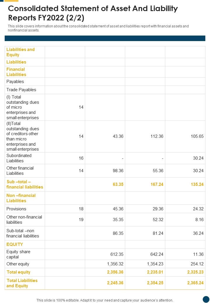 Consolidated Statement Of Asset And Liability Reports FY2022 One Pager Documents