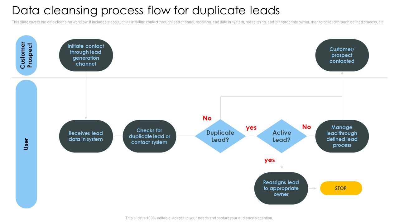 Consumer_Lead_Generation_Process_Data_Cleansing_Process_Flow_For_Duplicate_Leads_Professional_PDF_Slide_1.jpg