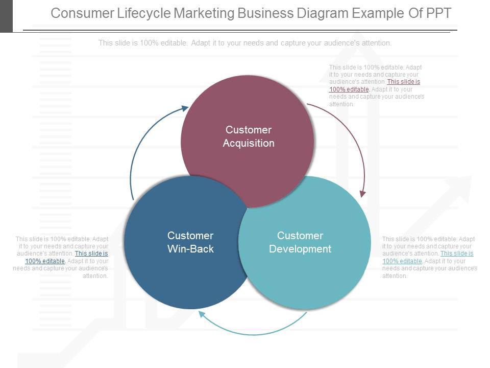 Consumer_Lifecycle_Marketing_Business_Diagram_Example_Of_Ppt_1.jpg