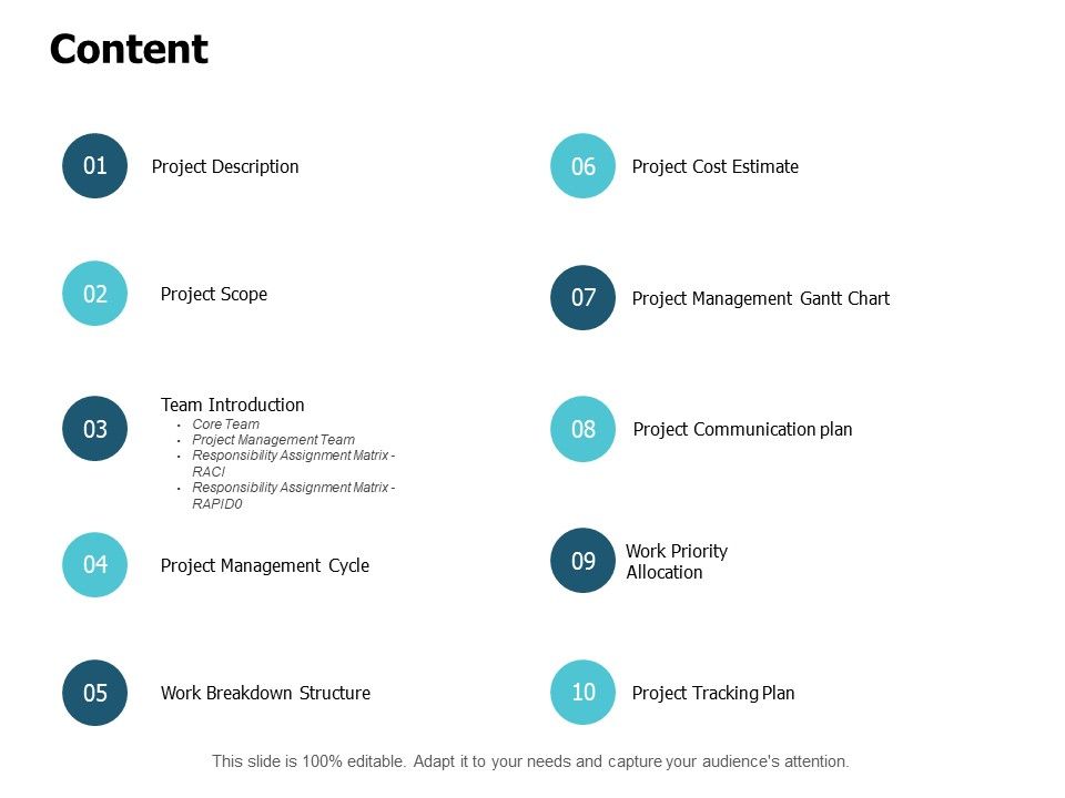 Content_Project_Description_Ppt_PowerPoint_Presentation_Portfolio_Guide_Slide_1.jpg