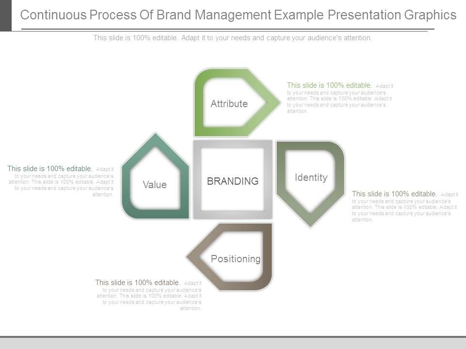 Continuous_Process_Of_Brand_Management_Example_Presentation_Graphics_1.jpg