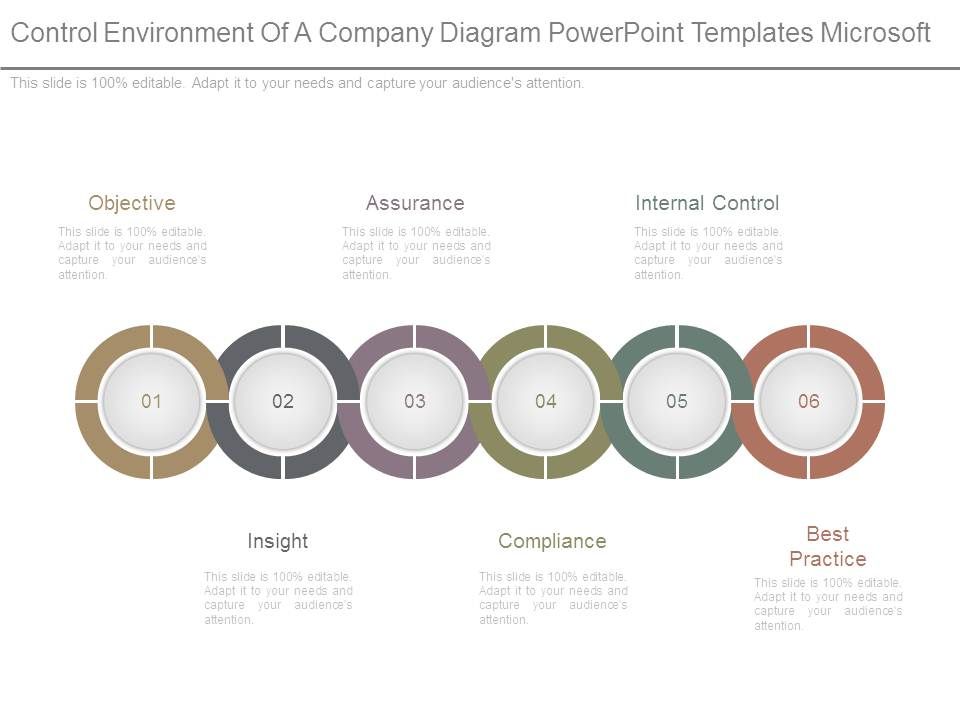 Control_Environment_Of_A_Company_Diagram_Powerpoint_Templates_Microsoft_1.jpg