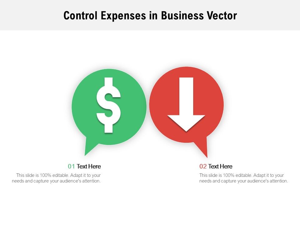 Control_Expenses_In_Business_Vector_Ppt_PowerPoint_Presentation_Inspiration_Portrait_Slide_1.jpg