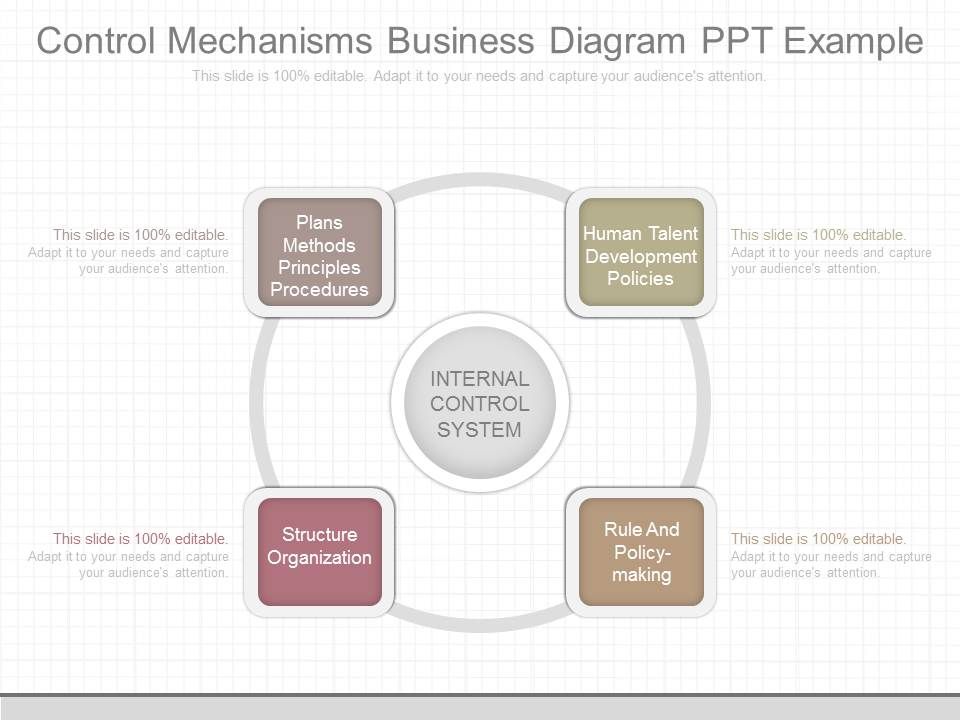 Control_Mechanisms_Business_Diagram_Ppt_Example_1.jpg