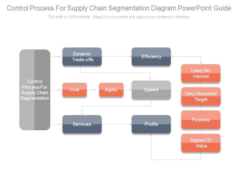 Control_Process_For_Supply_Chain_Segmentation_Diagram_Powerpoint_Guide_1.jpg