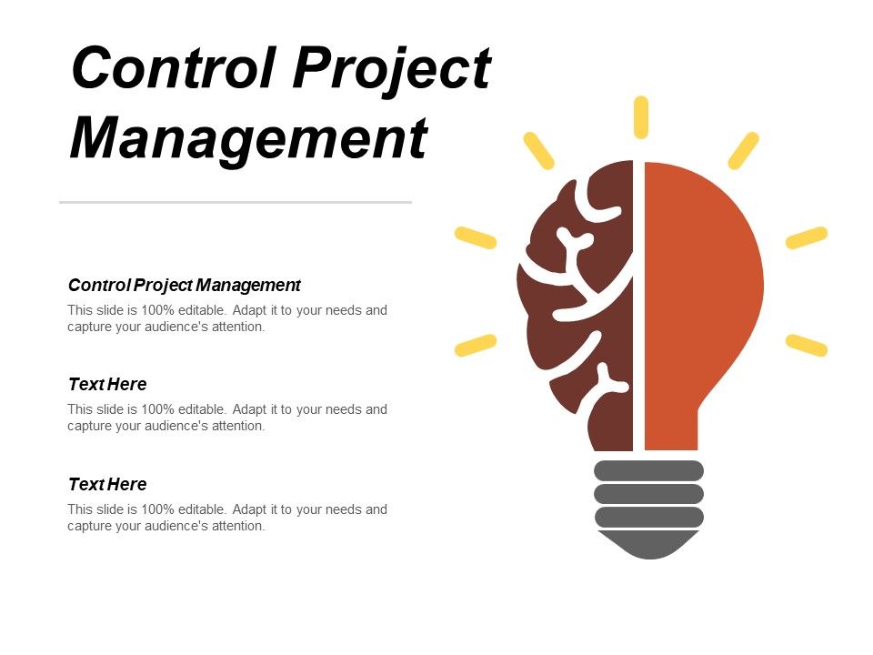 Control_Project_Management_Ppt_PowerPoint_Presentation_Infographics_Master_Slide_Cpb_Slide_1.jpg