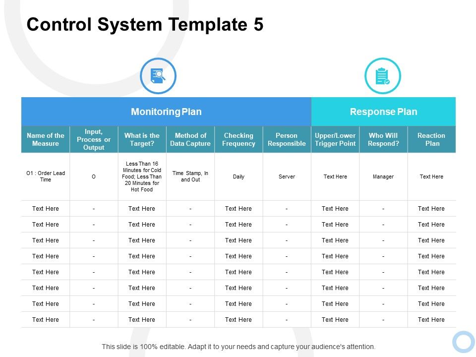 Control_System_Plan_Ppt_PowerPoint_Presentation_Outline_Guidelines_Slide_1.jpg