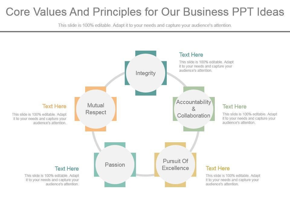Core_Values_And_Principles_For_Our_Business_Ppt_Ideas_1.jpg