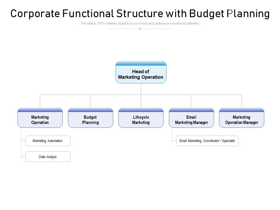 Corporate_Functional_Structure_With_Budget_Planning_Ppt_PowerPoint_Presentation_File_Slideshow_Slide_1.jpg