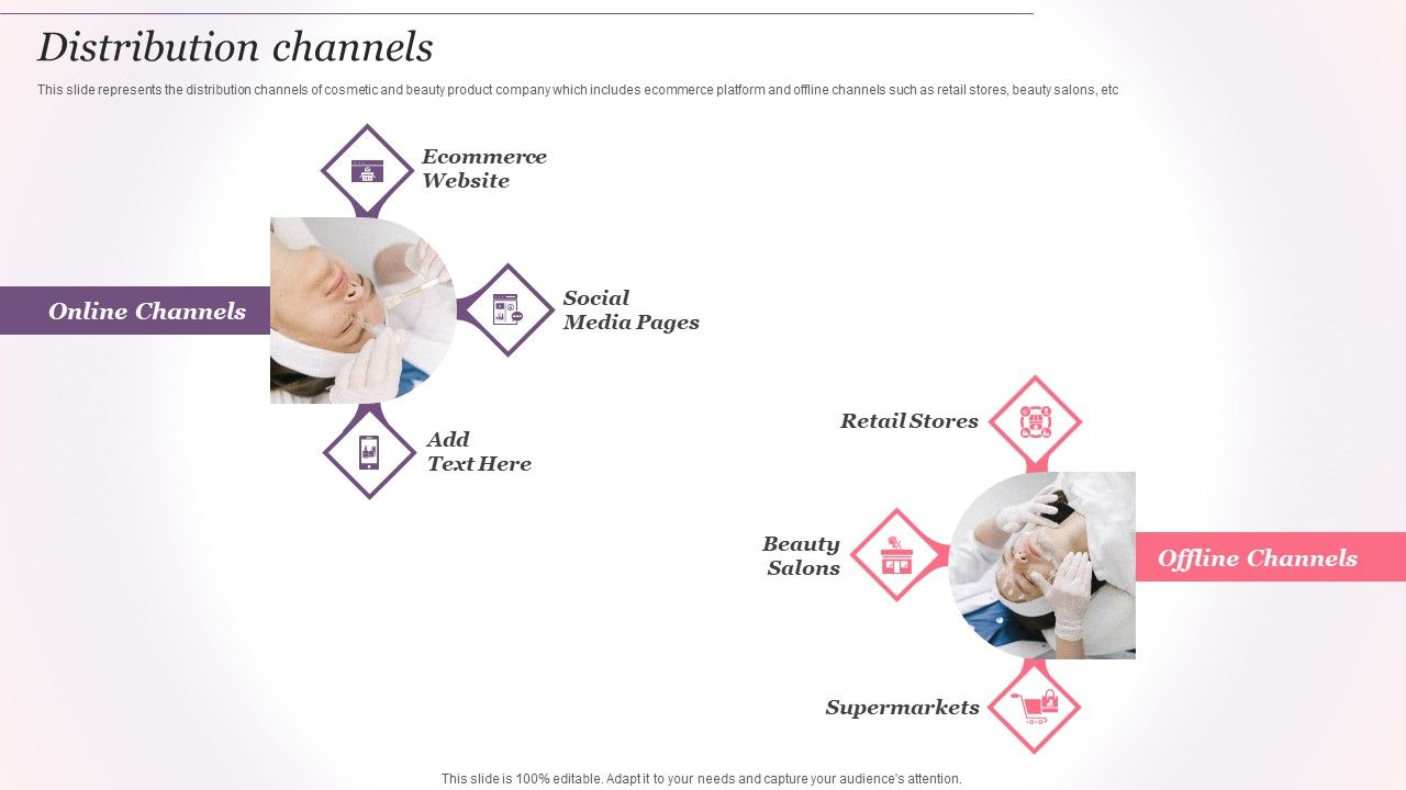 Cosmetics_And_Skin_Care_Company_Profile_Distribution_Channels_Ppt_Professional_Graphics_Example_PDF_Slide_1.jpg