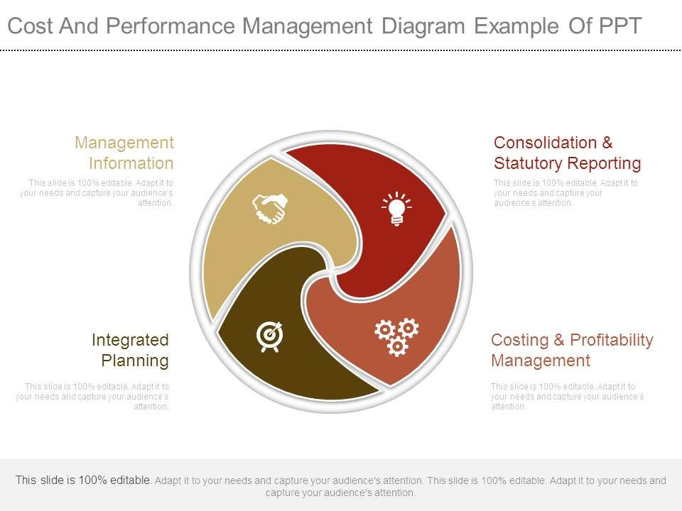 Cost_And_Performance_Management_Diagram_Example_Of_Ppt_1.jpg