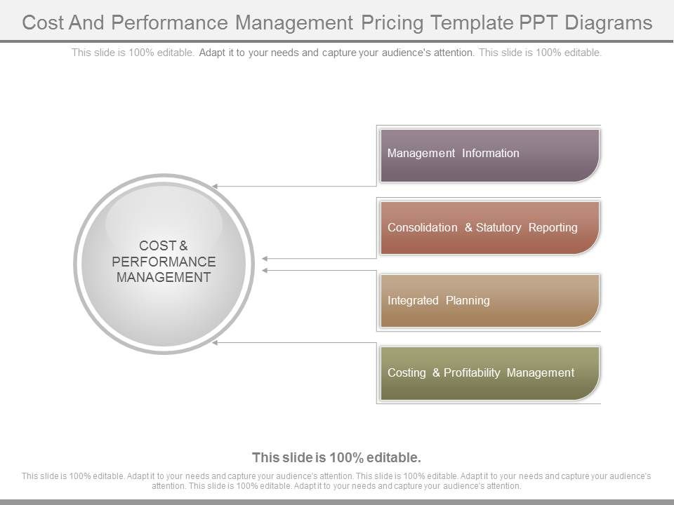 Cost_And_Performance_Management_Pricing_Template_Ppt_Diagrams_1.jpg