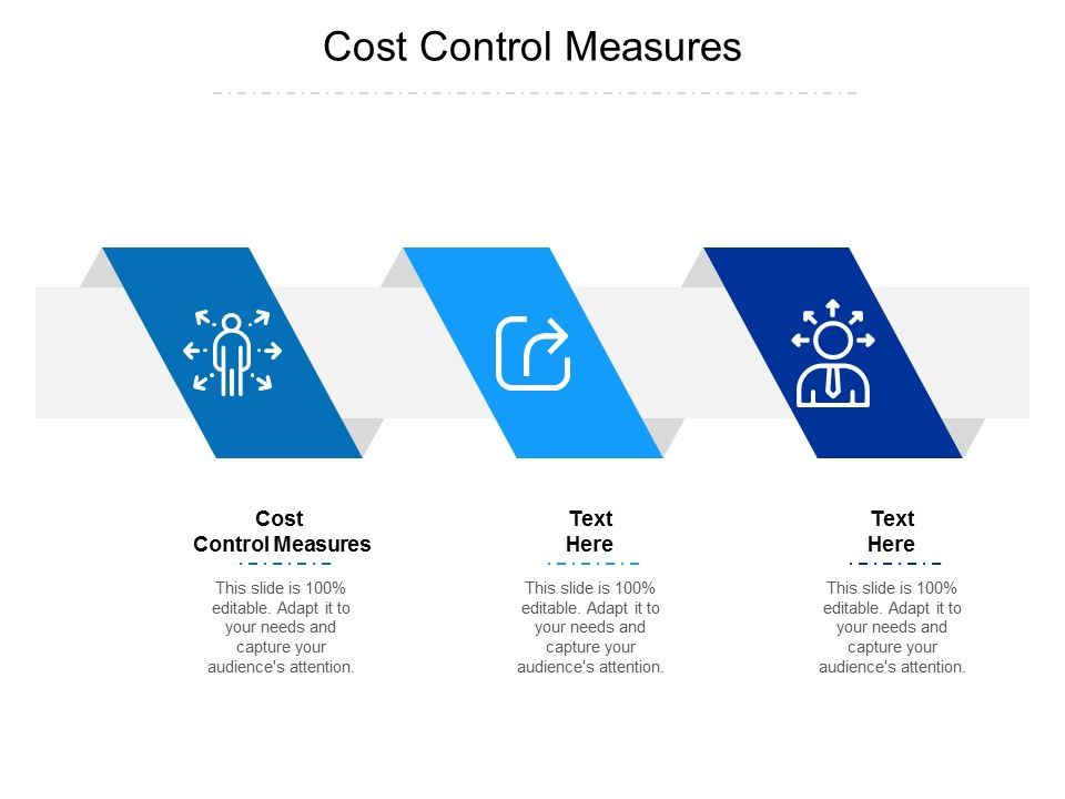 Cost_Control_Measures_Ppt_PowerPoint_Presentation_Show_Graphics_Example_Cpb_Slide_1.jpg