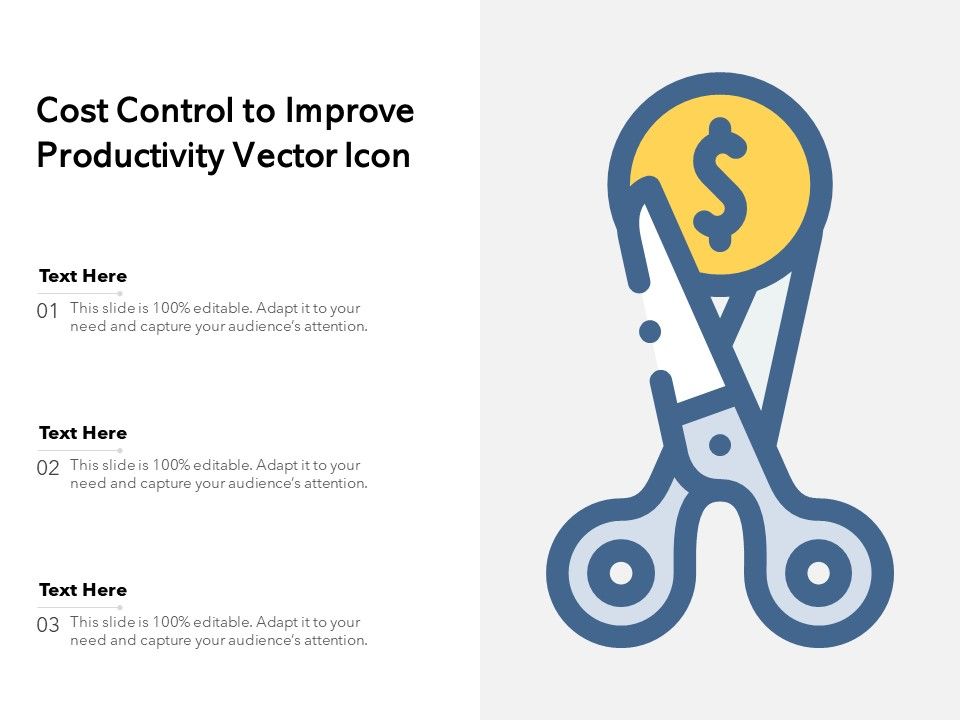 Cost_Control_To_Improve_Productivity_Vector_Icon_Ppt_PowerPoint_Presentation_Gallery_Portfolio_PDF_Slide_1.jpg
