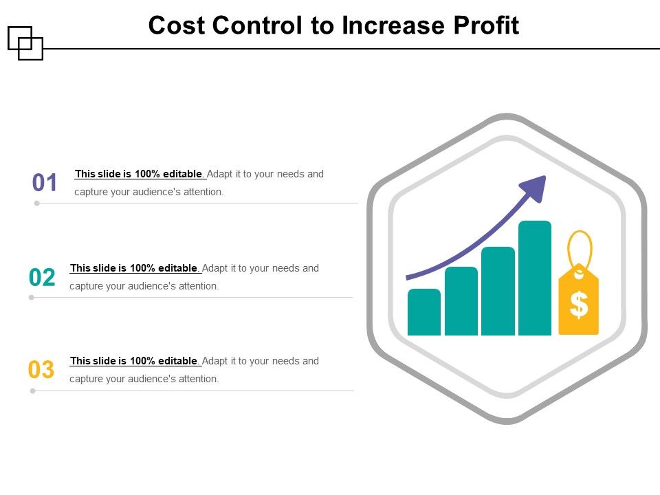 Cost_Control_To_Increase_Profit_Ppt_PowerPoint_Presentation_Infographics_Guidelines_PDF_Slide_1.jpg