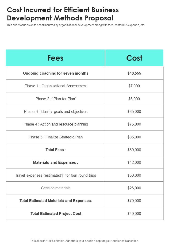 Cost Incurred For Efficient Business Development Methods Proposal One Pager Sample Example Document Slide01