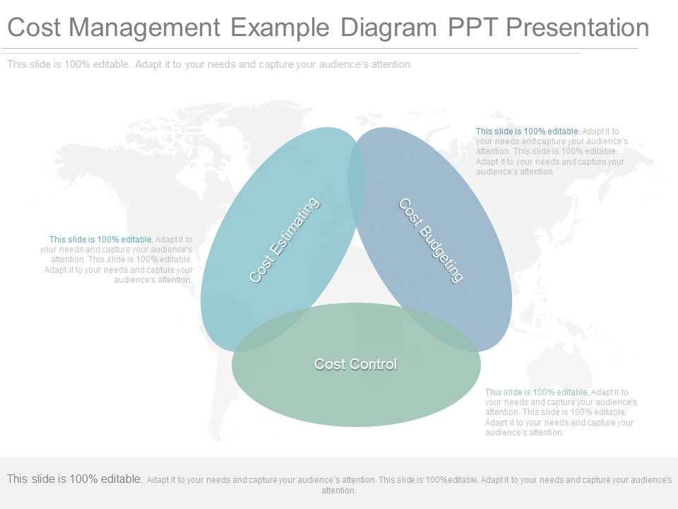 Cost_Management_Example_Diagram_Ppt_Presentation_1.jpg