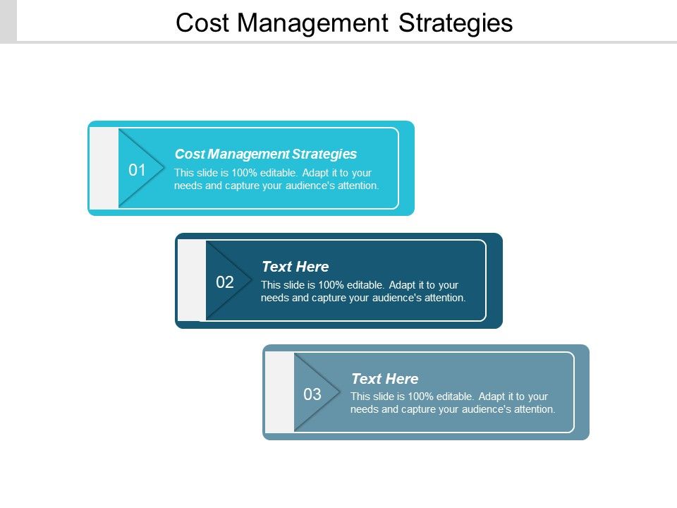 Cost_Management_Strategies_Ppt_PowerPoint_Presentation_Ideas_Example_Introduction_Cpb_Slide_1.jpg