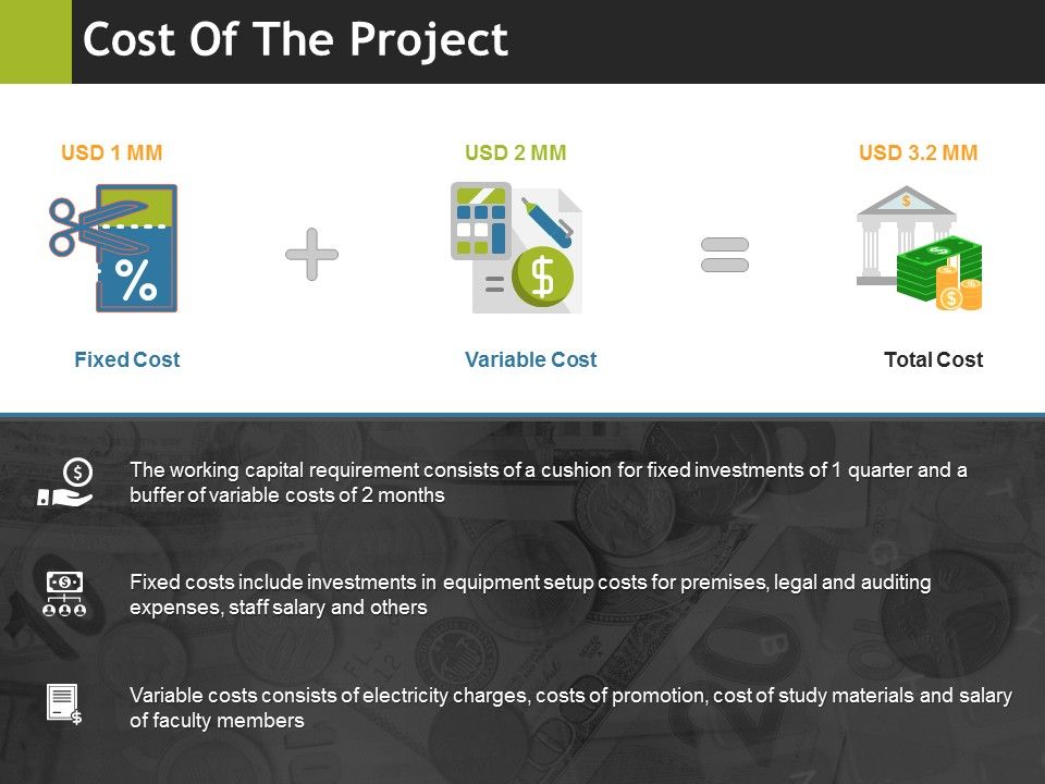 Cost_Of_The_Project_Ppt_PowerPoint_Presentation_Outline_Example_Slide_1.jpg
