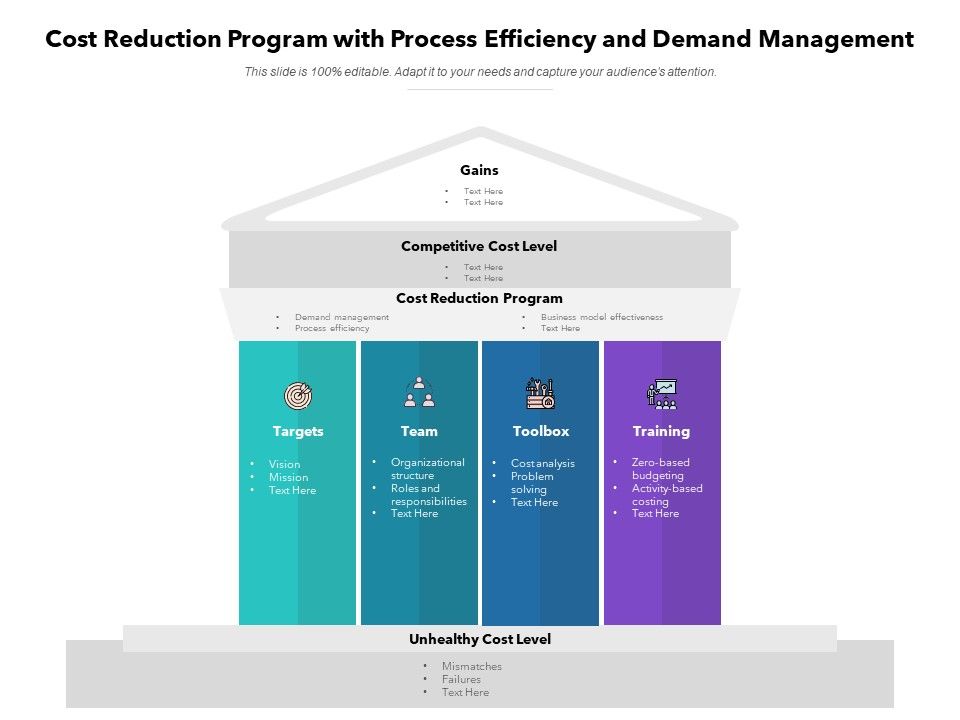 Cost_Reduction_Program_With_Process_Efficiency_And_Demand_Management_Ppt_PowerPoint_Presentation_Layouts_Graphic_Images_PDF_Slide_1.jpg