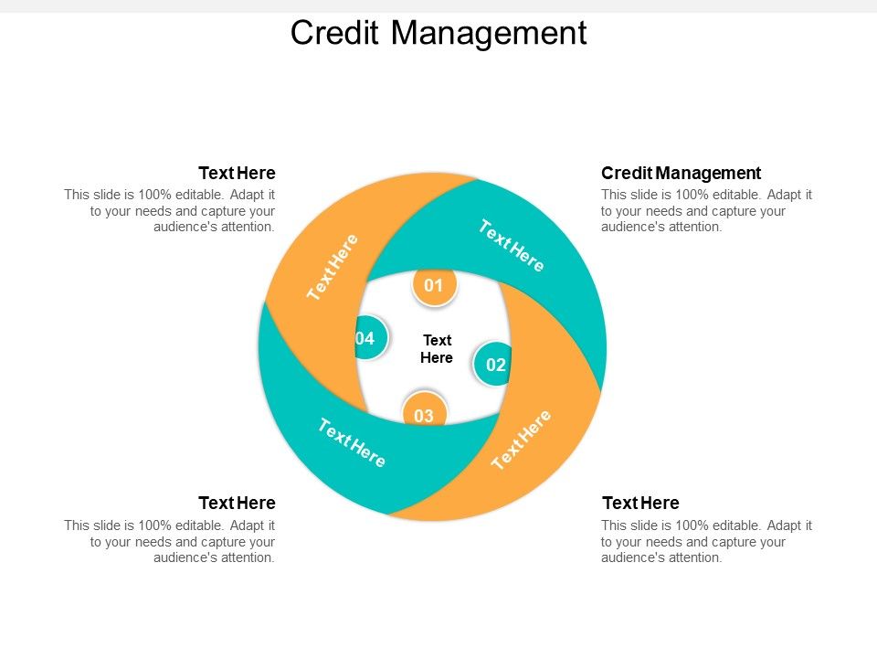 Credit_Management_Ppt_PowerPoint_Presentation_Visual_Aids_Show_Cpb_Slide_1.jpg
