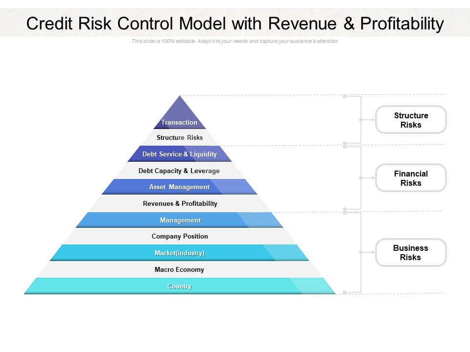 Credit_Risk_Control_Model_With_Revenue_And_Profitability_Ppt_PowerPoint_Presentation_Inspiration_Graphics_Download_Slide_1.jpg