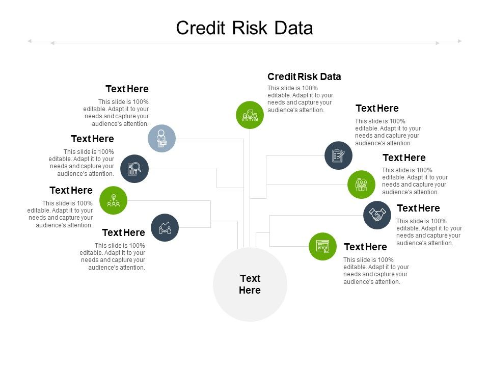 Credit_Risk_Data_Ppt_PowerPoint_Presentation_Styles_Summary_Cpb_Slide_1.jpg