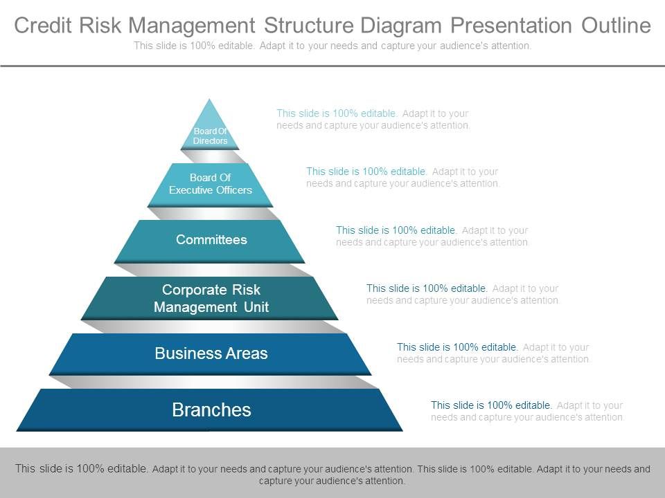 Credit_Risk_Management_Structure_Diagram_Presentation_Outline_1.jpg