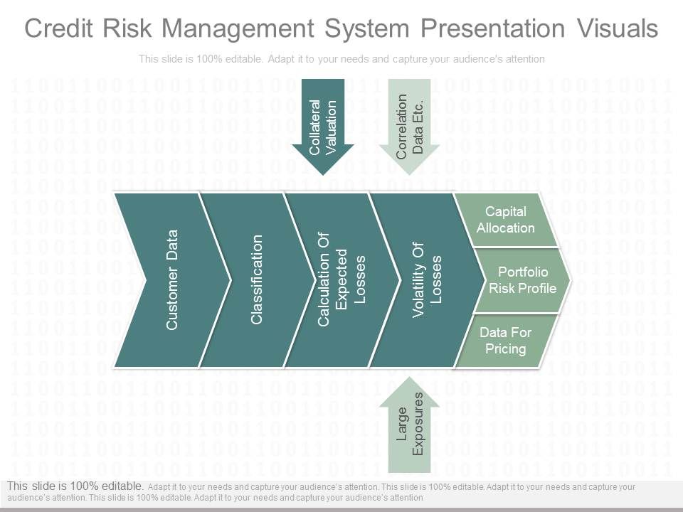Credit_Risk_Management_System_Presentation_Visuals_1.jpg