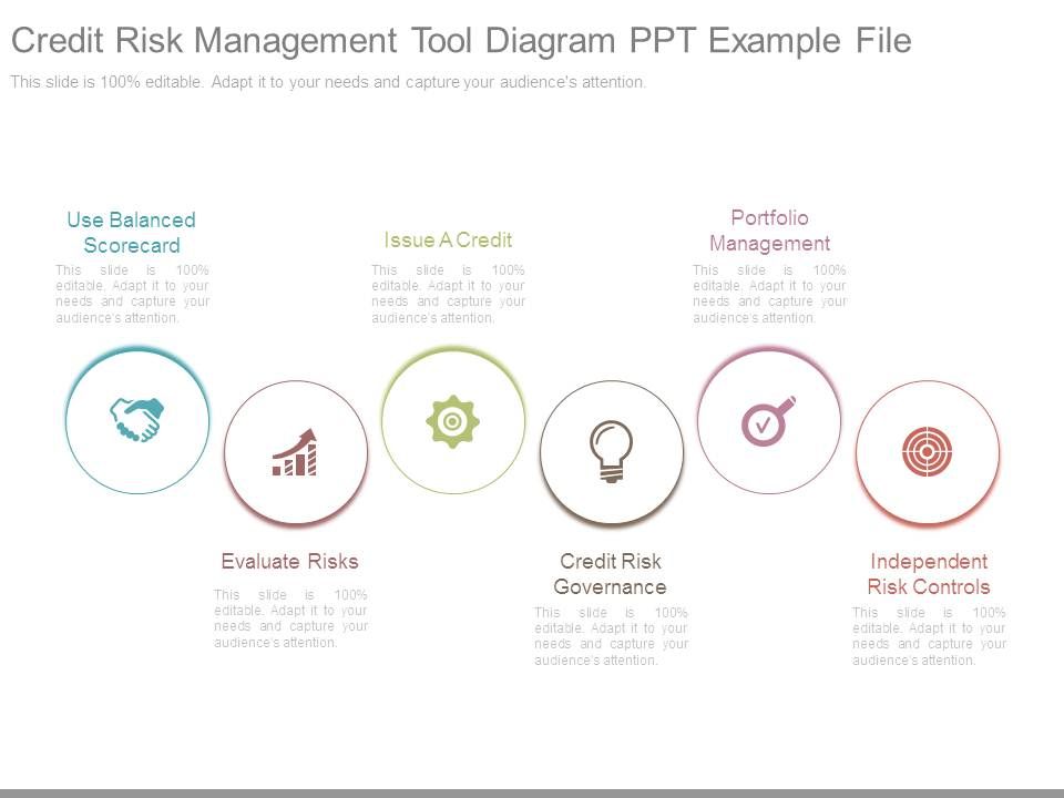 Credit_Risk_Management_Tool_Diagram_Ppt_Example_File_1.jpg