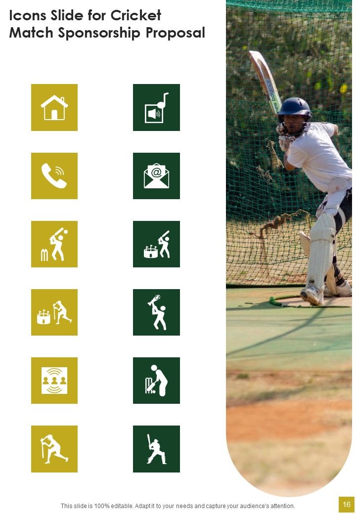 Cricket Match Sponsorship Proposal Example Document Report Doc Pdf Ppt