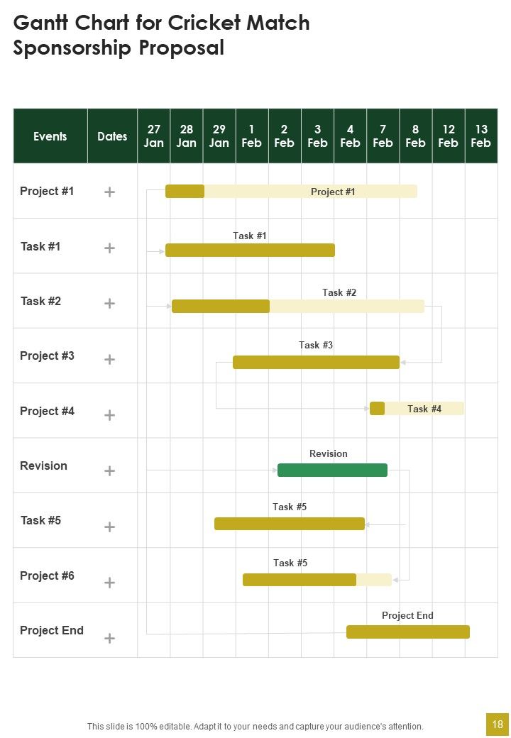 Cricket Match Sponsorship Proposal Example Document Report Doc Pdf Ppt