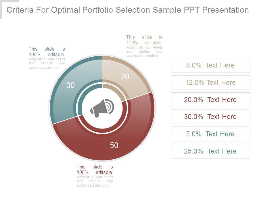 Criteria_For_Optimal_Portfolio_Selection_Sample_Ppt_Presentation_1.jpg