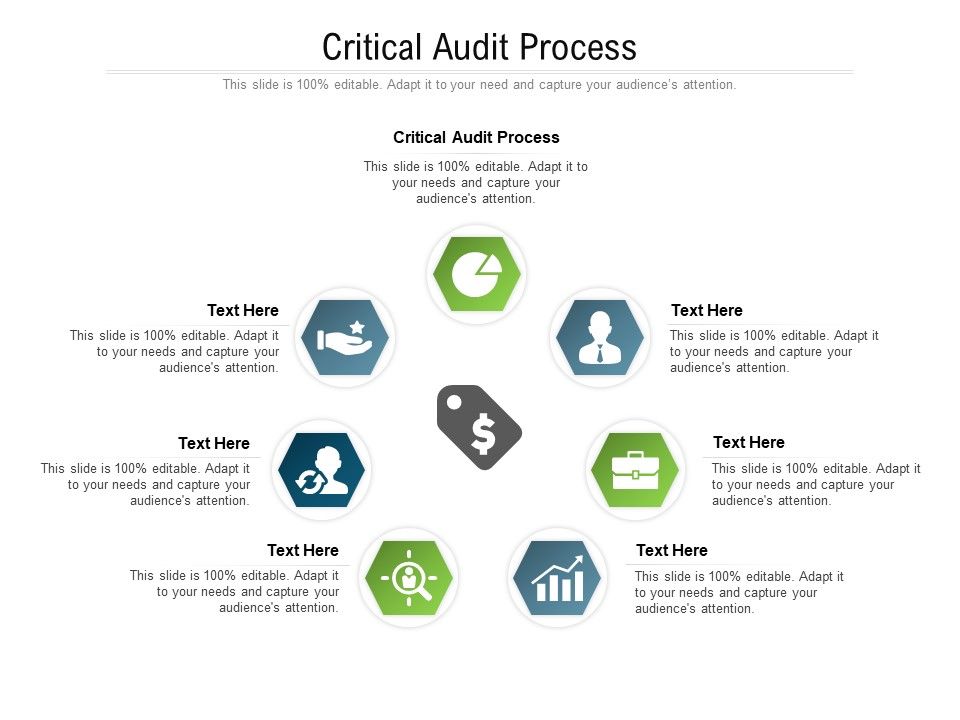 Critical_Audit_Process_Ppt_PowerPoint_Presentation_Infographic_Template_Guide_Cpb_Pdf_Slide_1.jpg