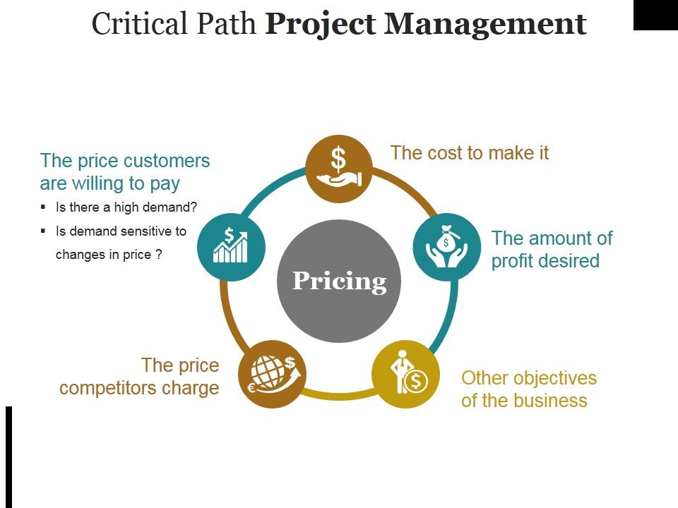 Critical_Path_Project_Management_Ppt_PowerPoint_Presentation_Portfolio_Ideas_Slide_1.jpg