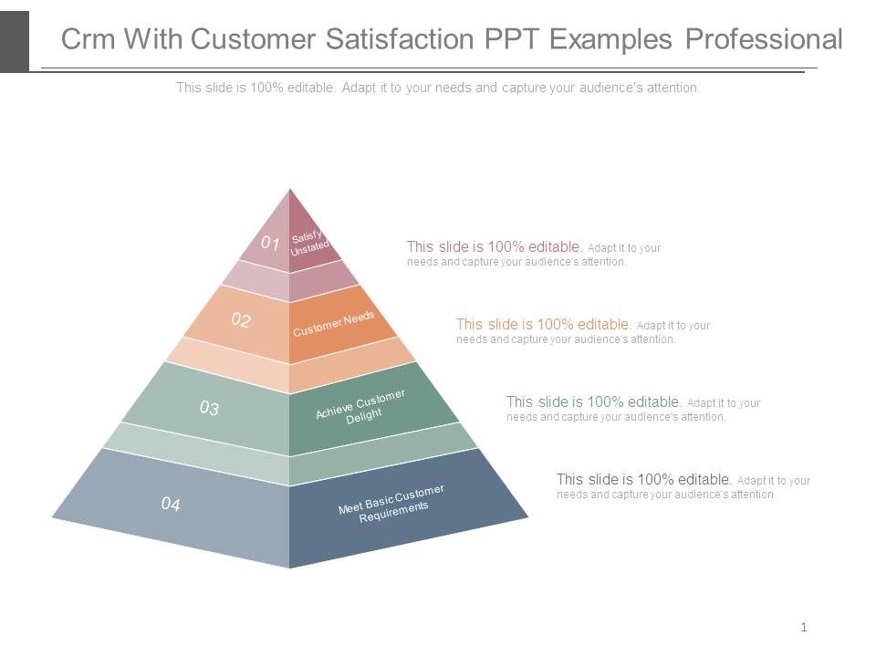 Crm_With_Customer_Satisfaction_Ppt_Examples_Professional_1.jpg