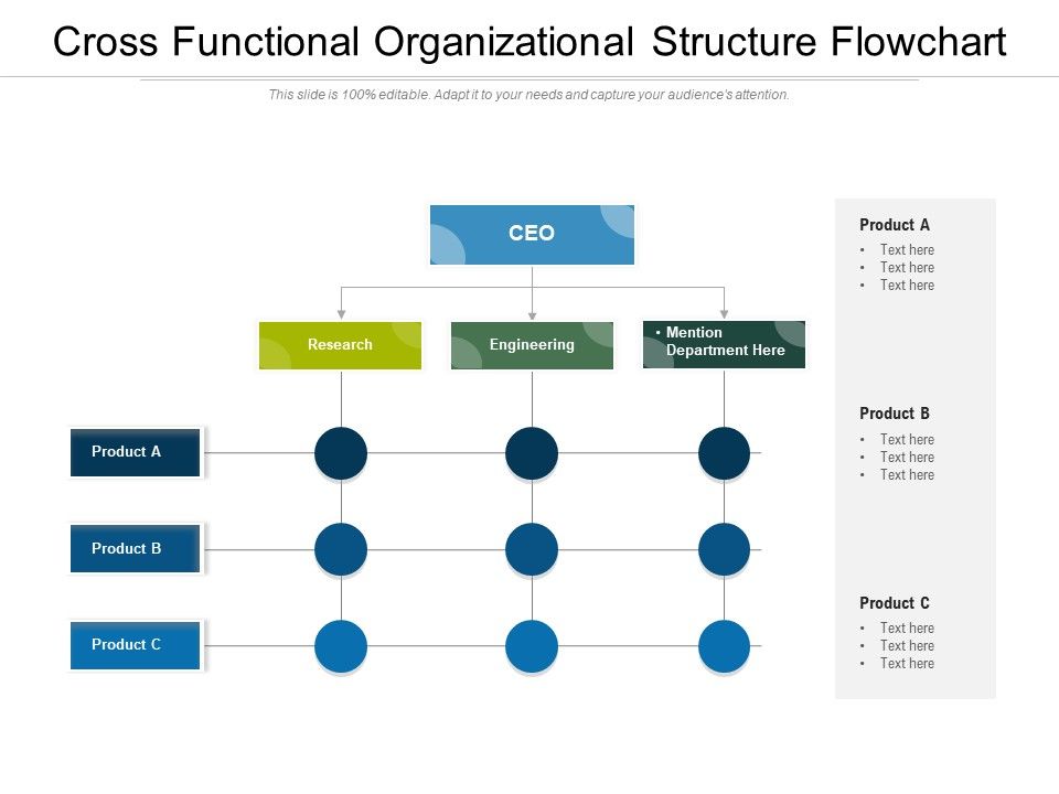 Cross_Functional_Organizational_Structure_Flowchart_Ppt_PowerPoint_Presentation_Icon_Portfolio_PDF_Slide_1.jpg
