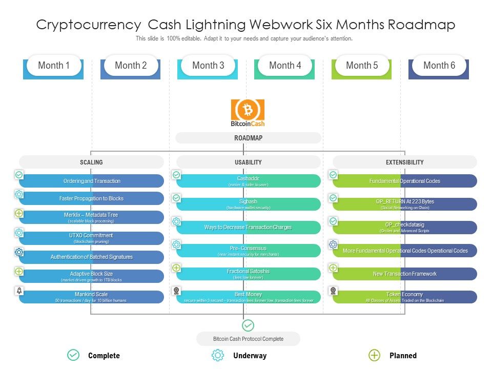 Cryptocurrency_Cash_Lightning_Webwork_Six_Months_Roadmap_Portrait_Slide_1.jpg